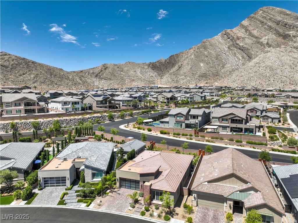 11185 Black Fire Opal Drive