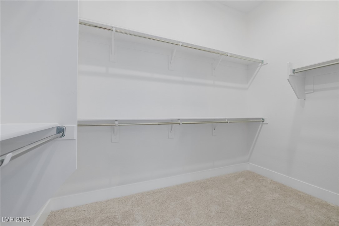 11185 Black Fire Opal Drive