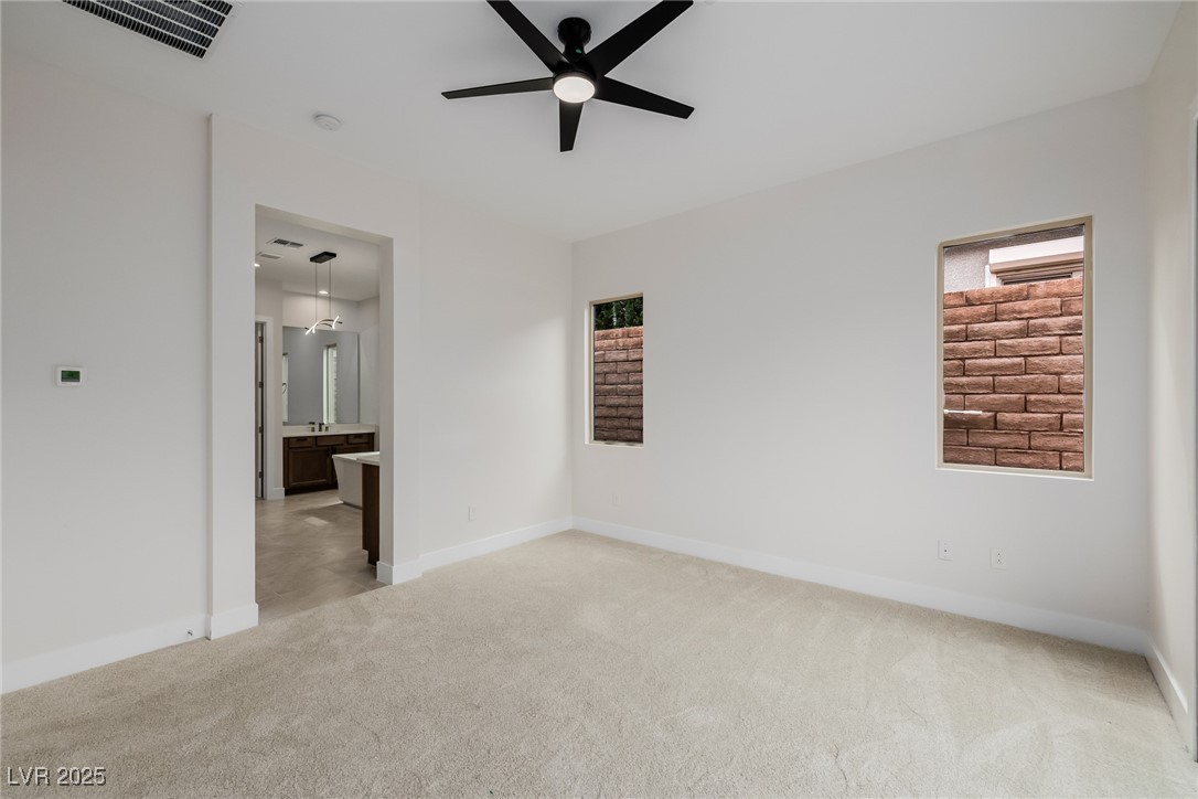 11185 Black Fire Opal Drive