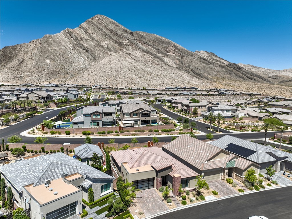 11185 Black Fire Opal Drive