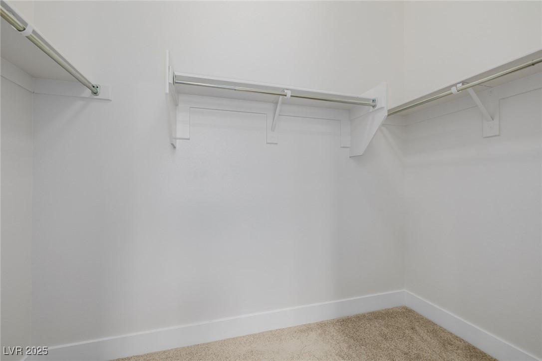 11185 Black Fire Opal Drive