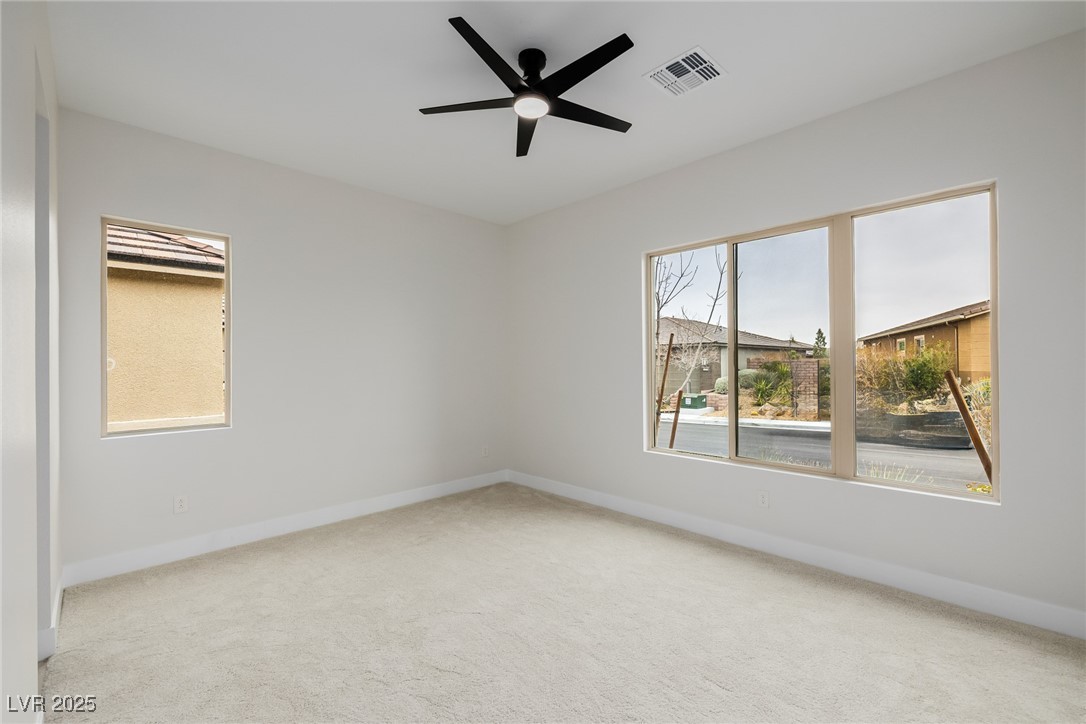 11185 Black Fire Opal Drive