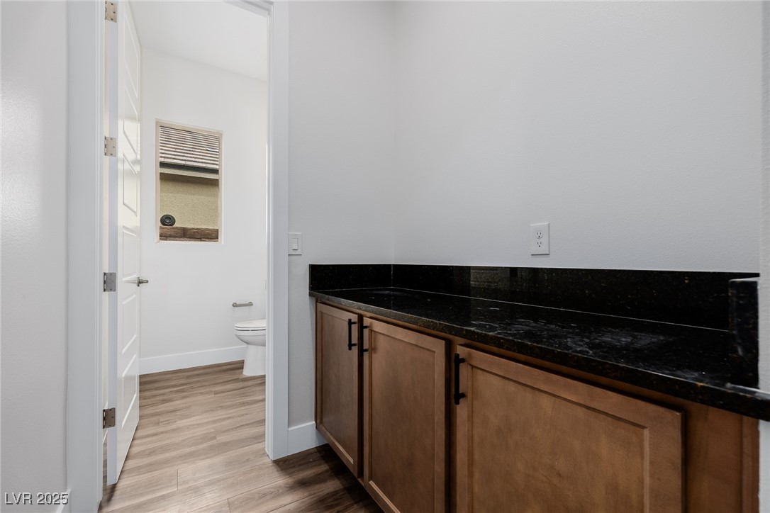 11185 Black Fire Opal Drive