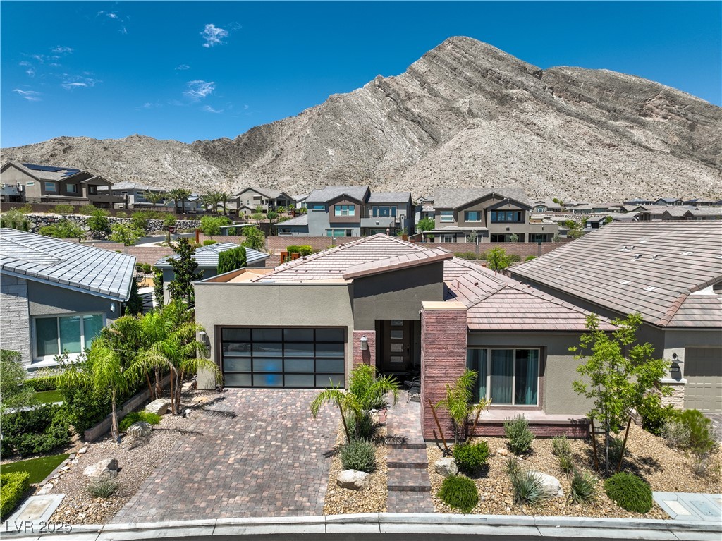 11185 Black Fire Opal Drive