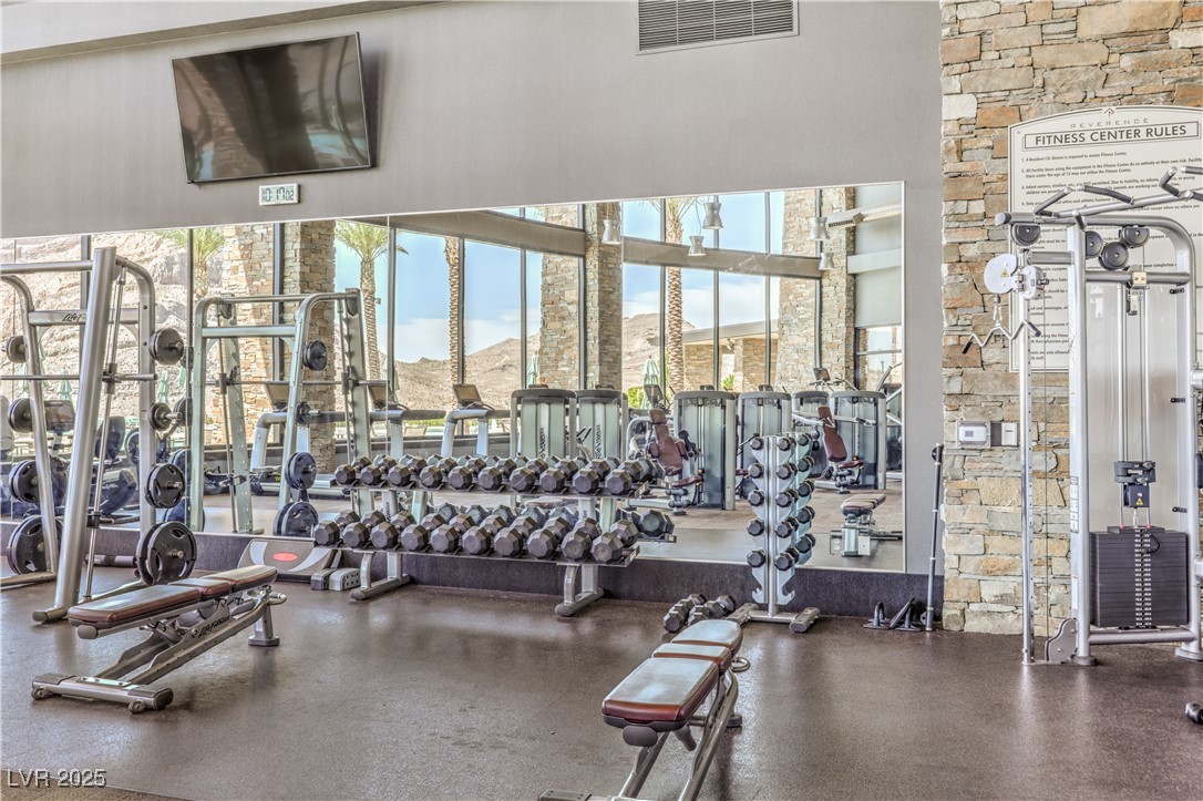 11185 Black Fire Opal Drive