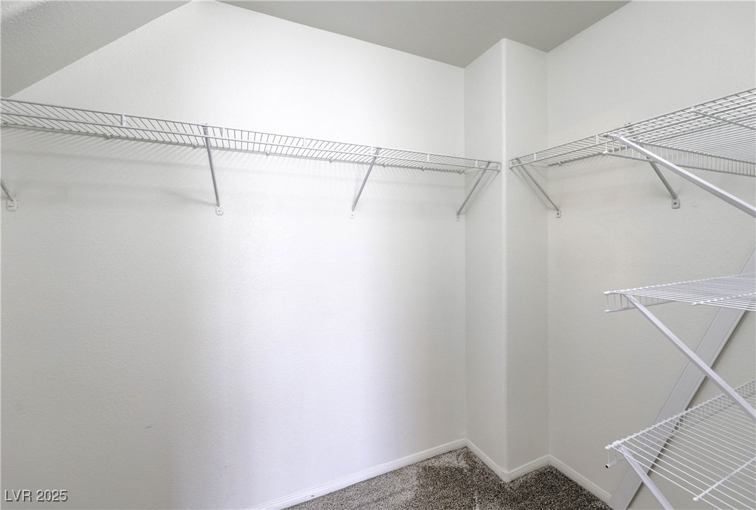 1044 Creeping Zinnia Court