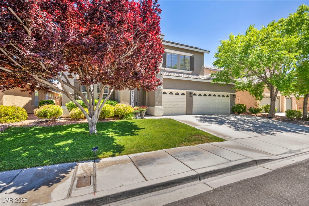 10662 Bonchester Hill Street