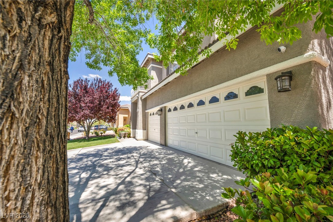 10662 Bonchester Hill Street