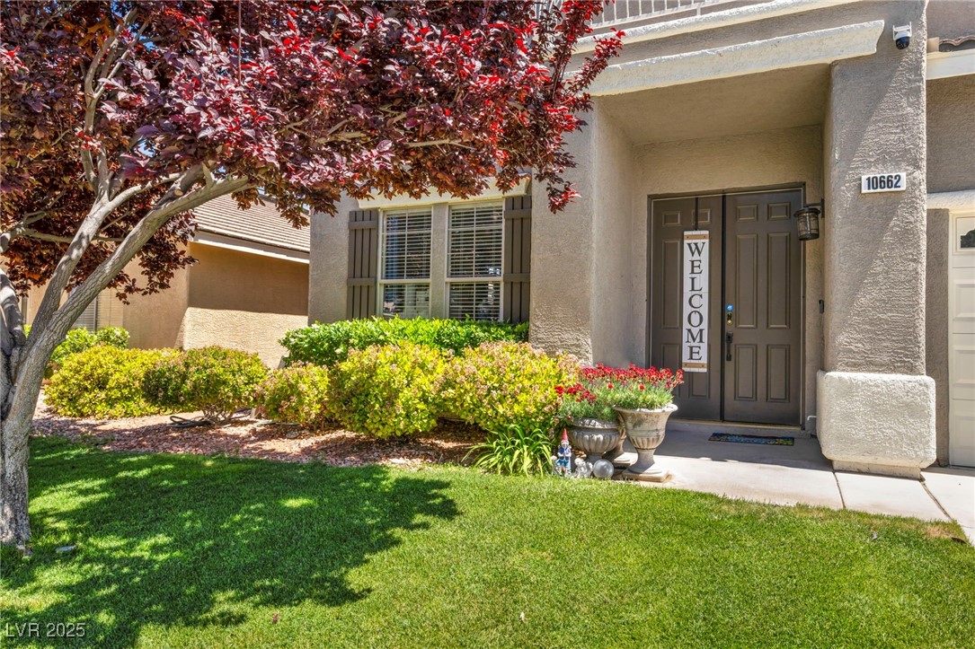 10662 Bonchester Hill Street