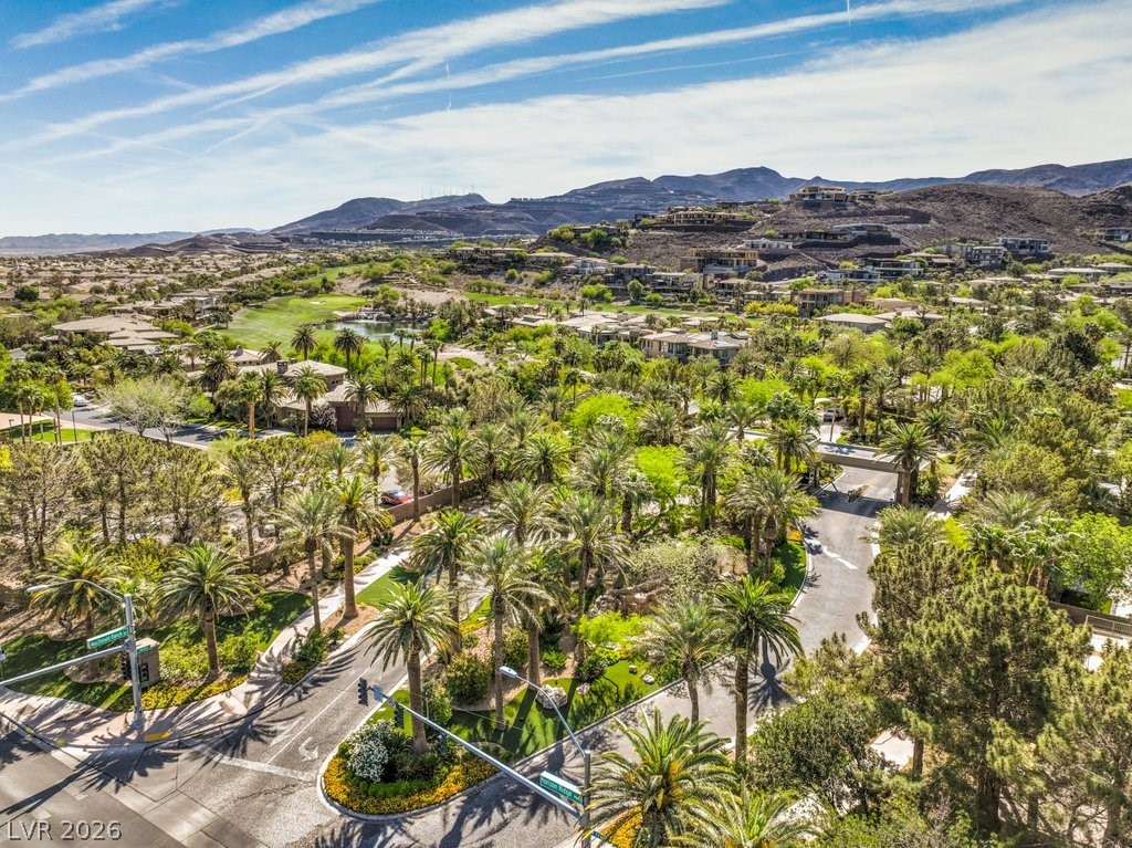 619 Dragon Mountain Court