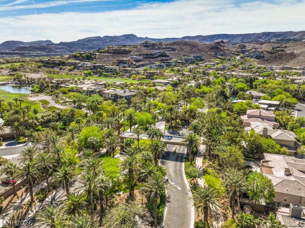 619 Dragon Mountain Court