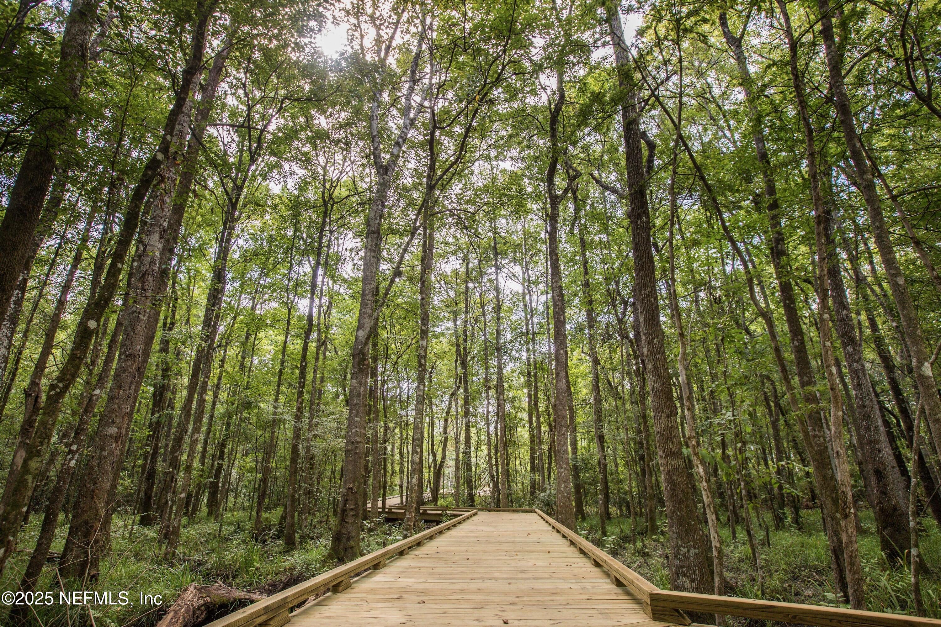 286 BELFORT Court, St. Augustine