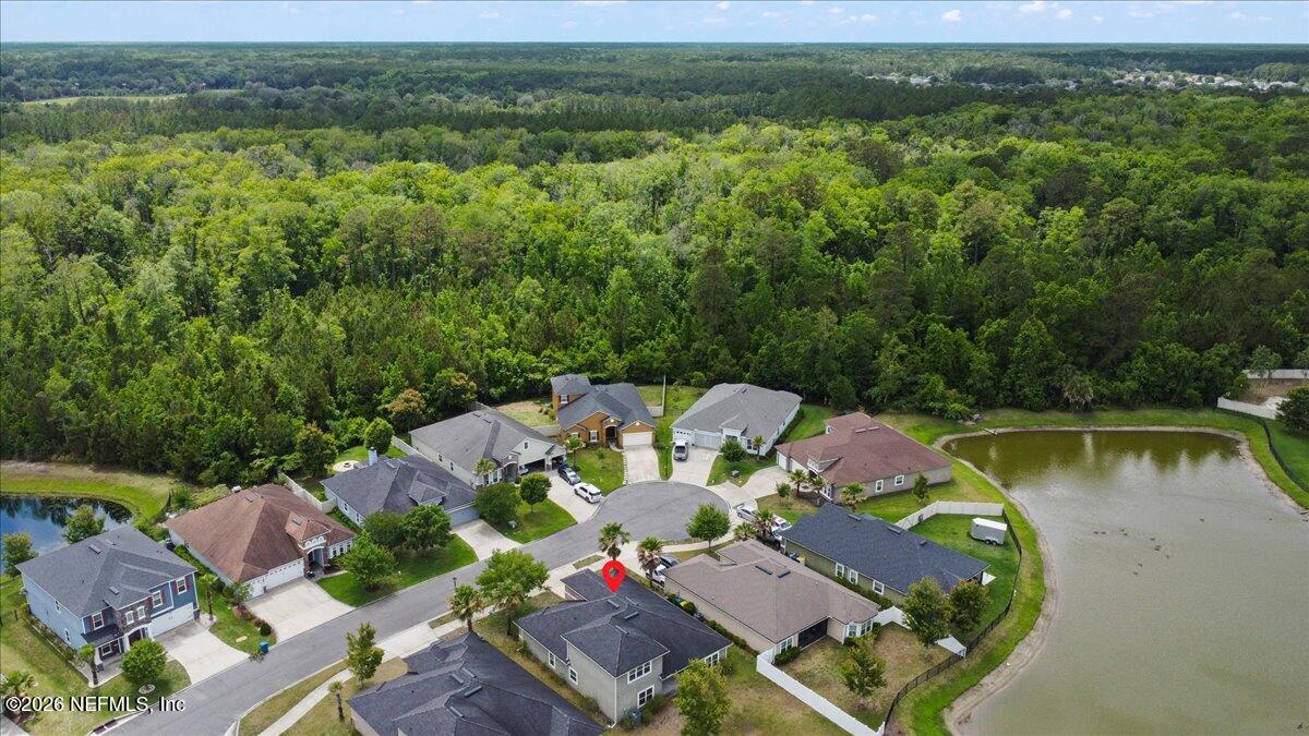 3825 HAMMOCK BLUFF Drive