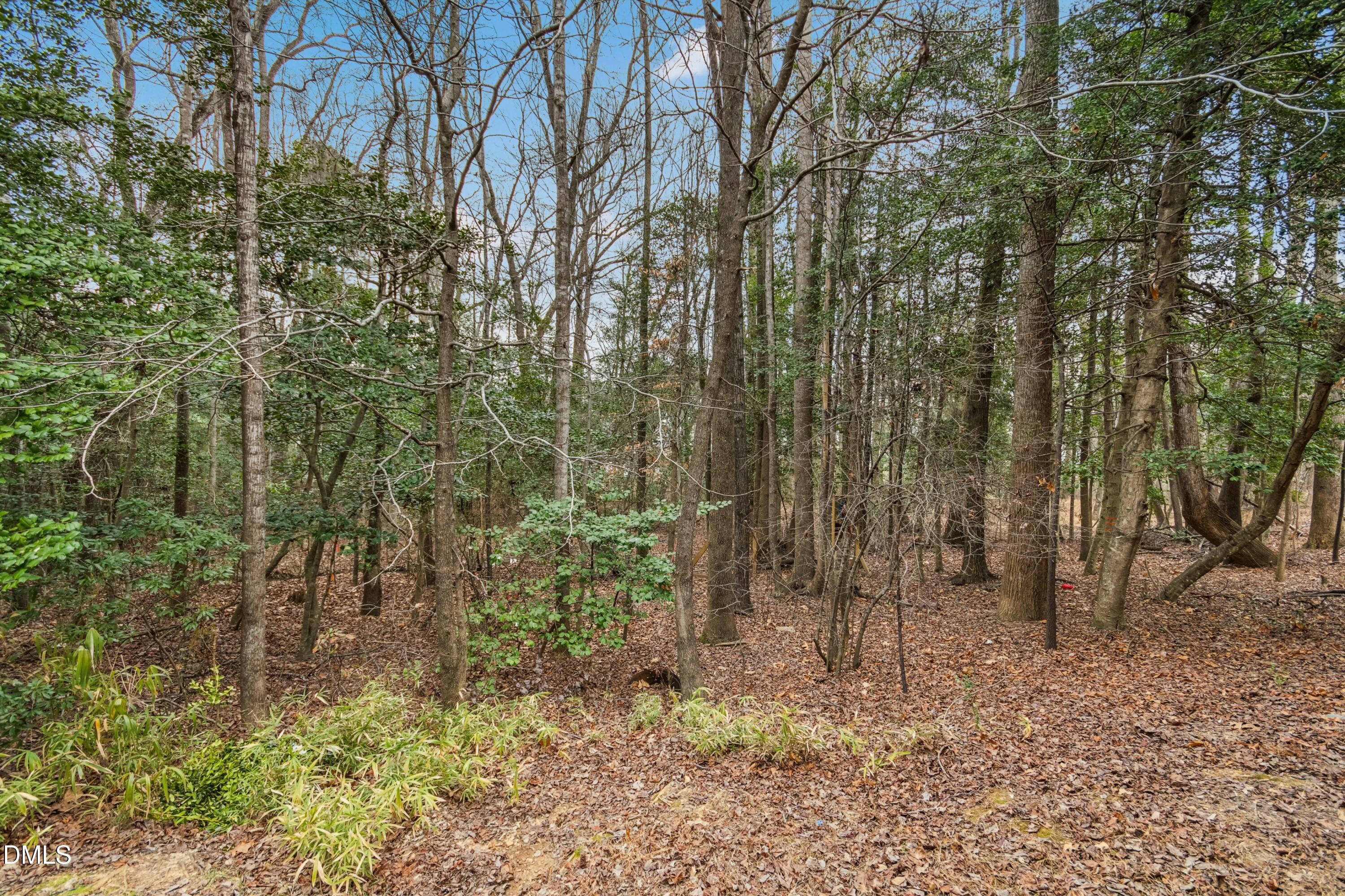 125 Spring Pine Lane