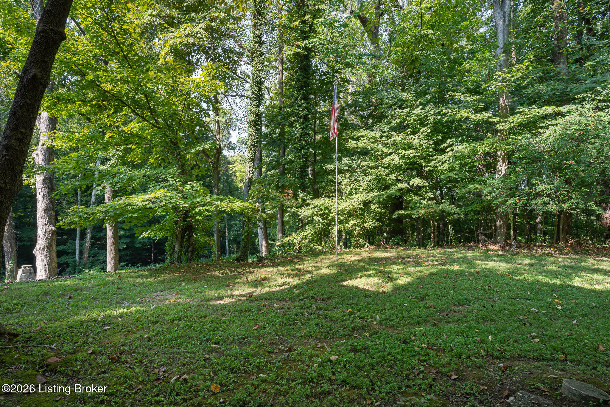 6300 Shadow Wood Ct