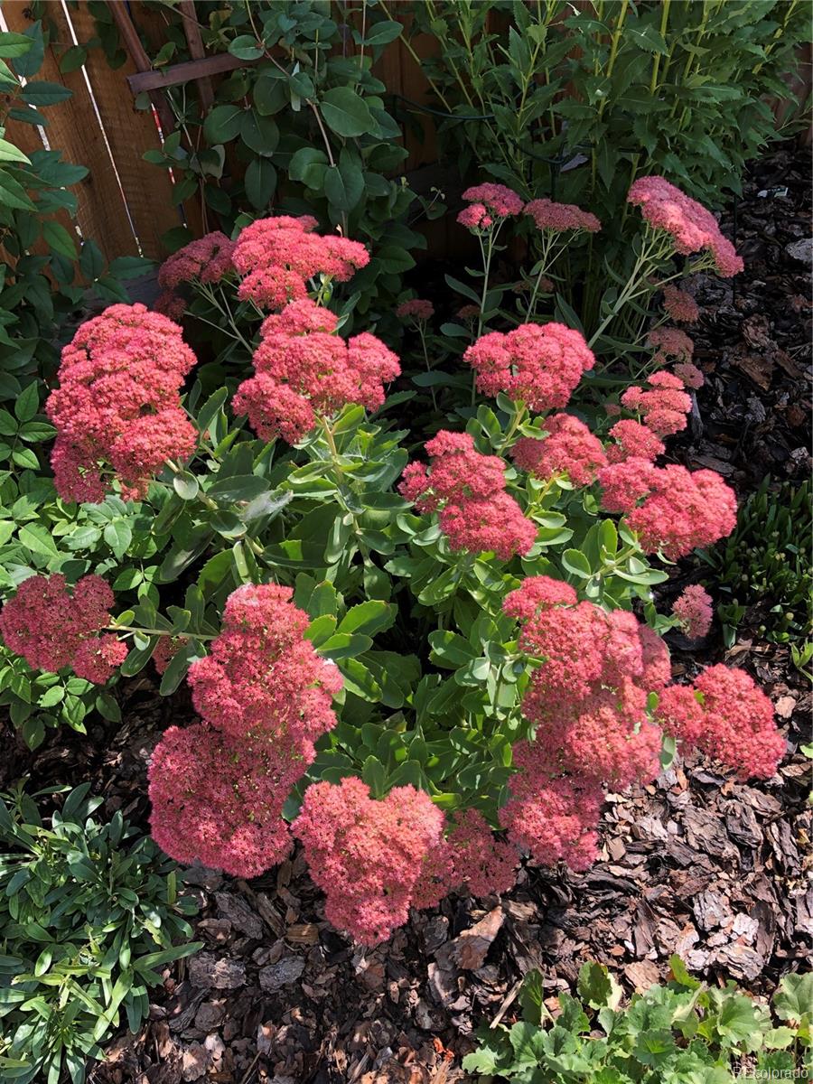 2332 N Glencoe Street