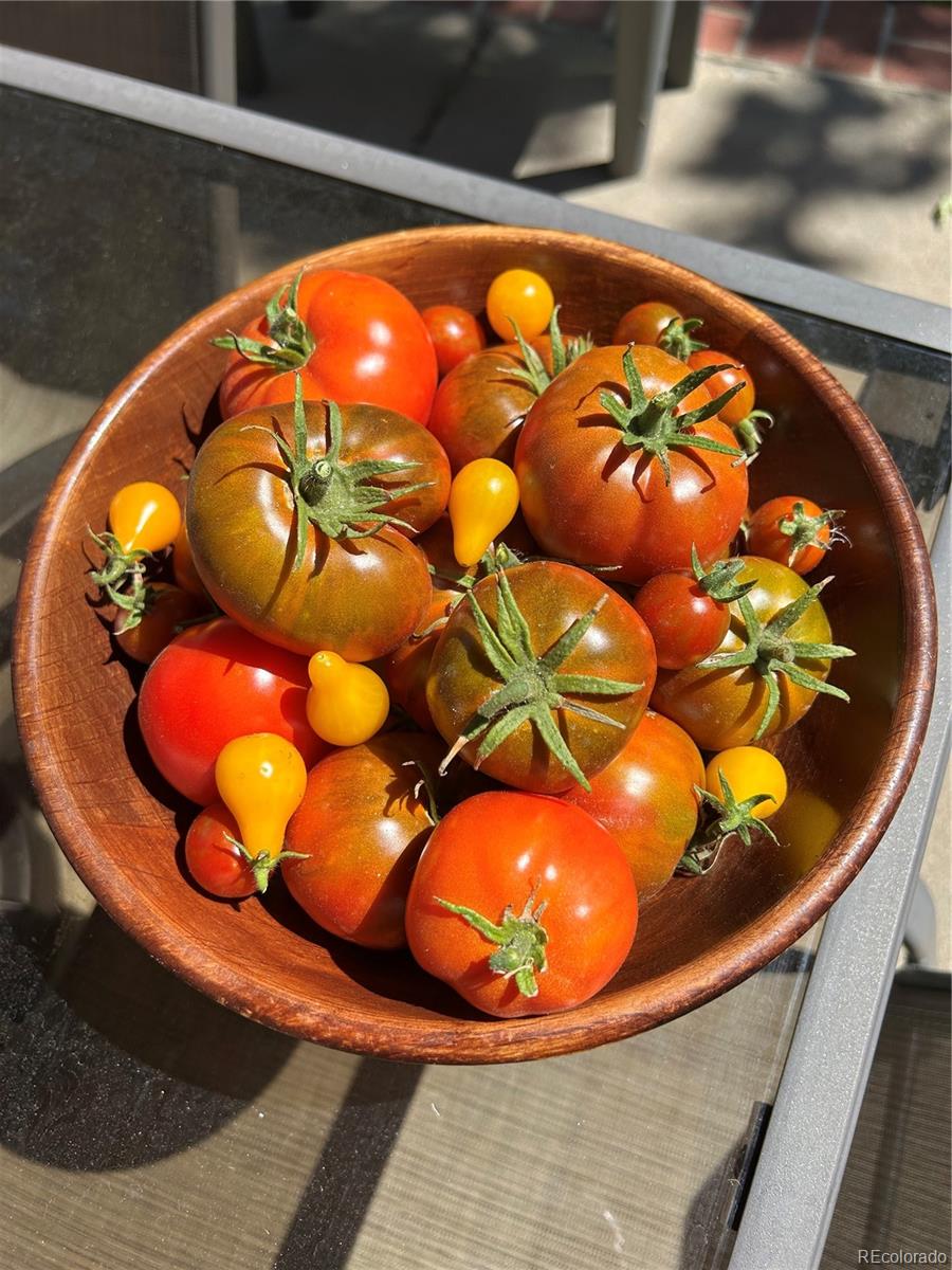 2332 N Glencoe Street