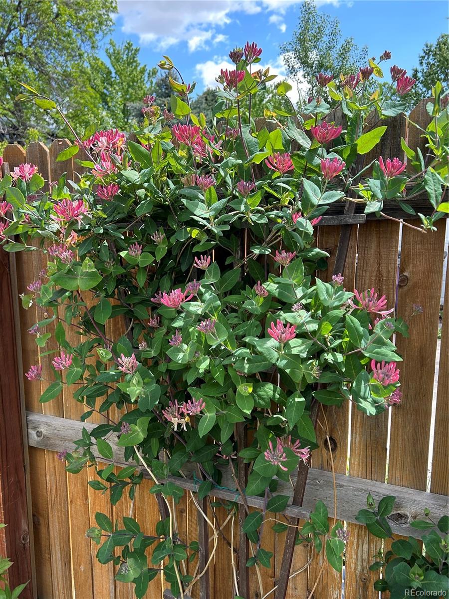 2332 N Glencoe Street