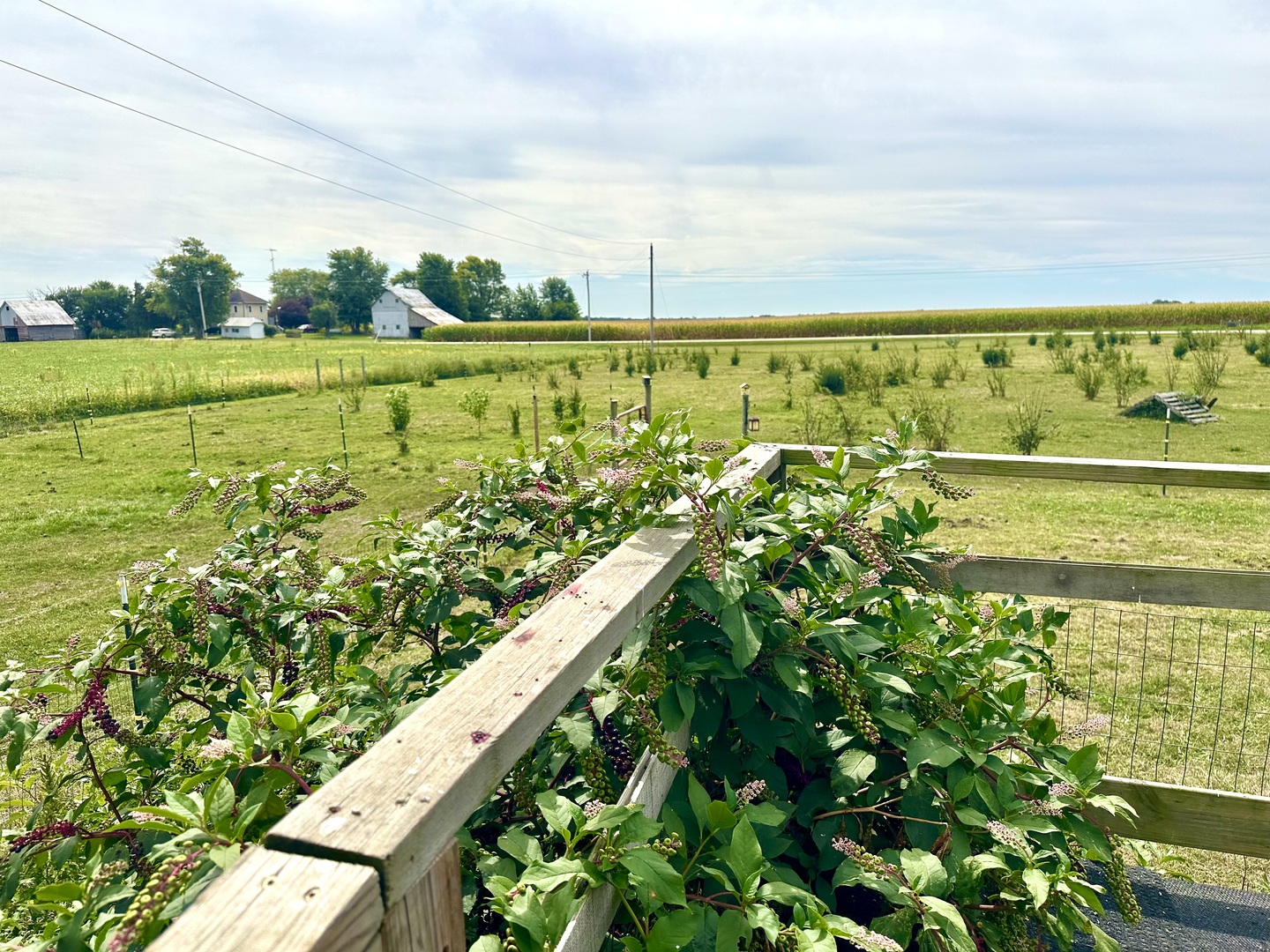 1258 E 2900 North Road