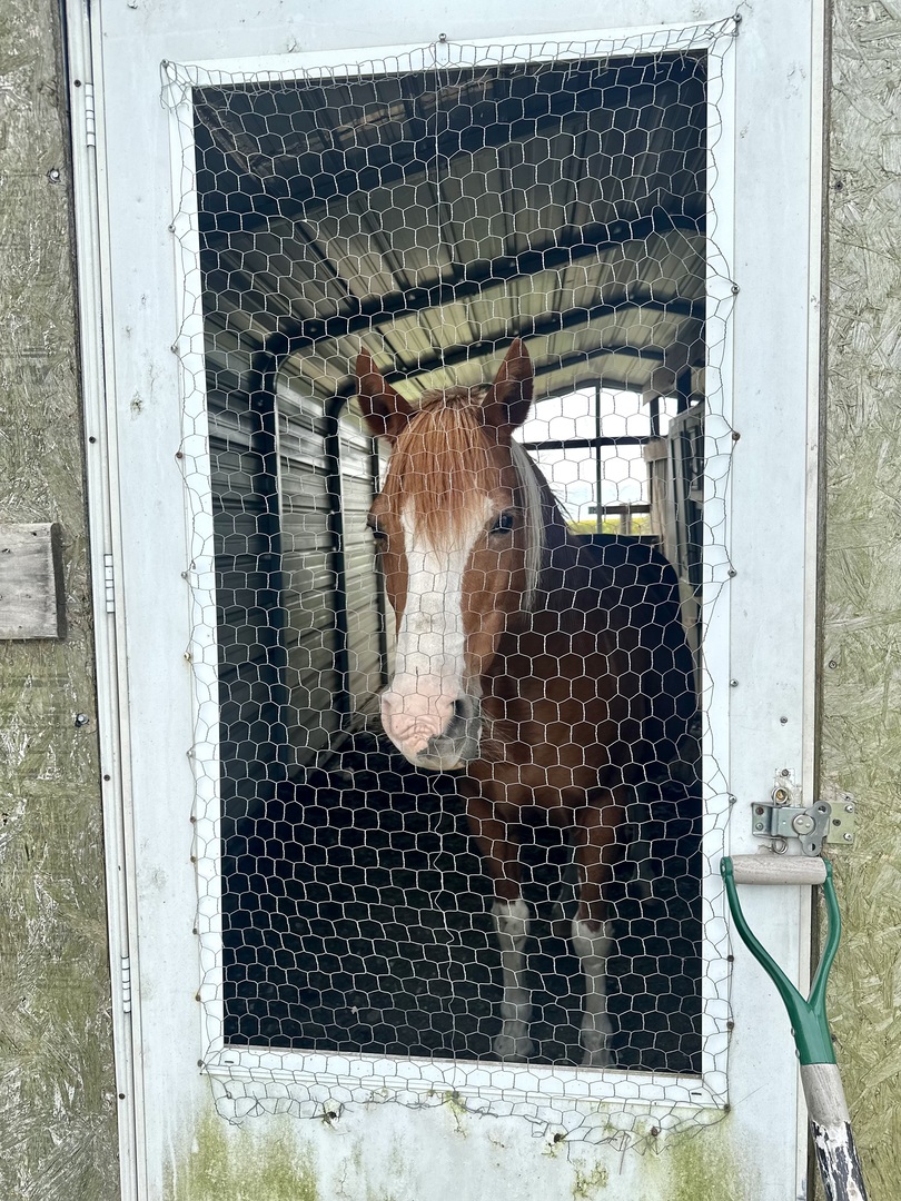 1258 E 2900 North Road