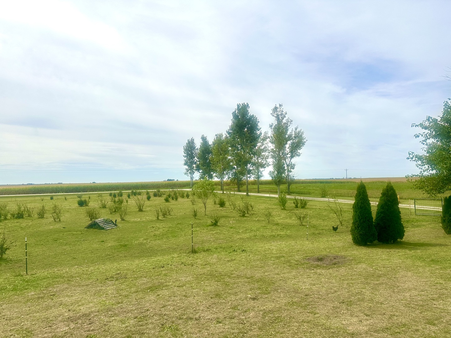 1258 E 2900 North Road