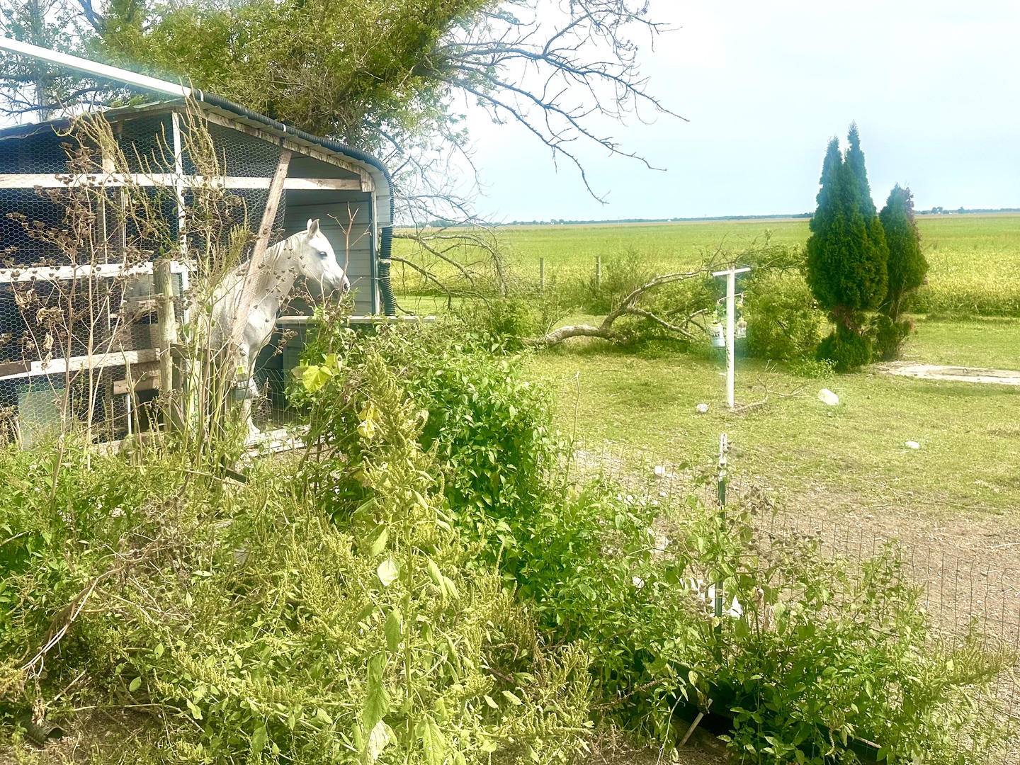 1258 E 2900 North Road