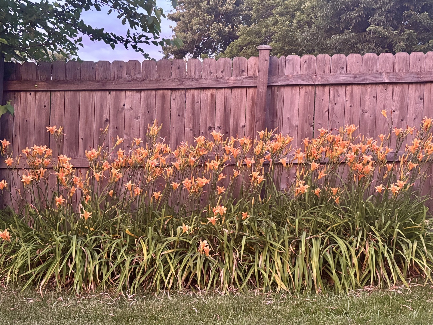 15201 Lavergne Avenue