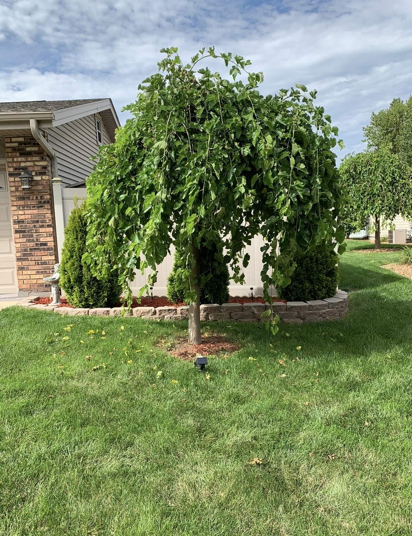 856 Quail Drive