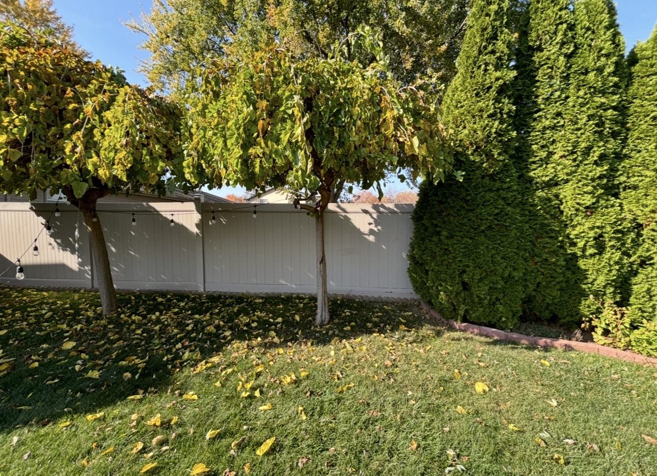 856 Quail Drive