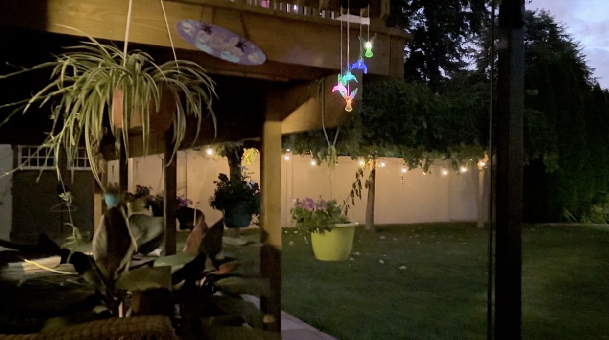 856 Quail Drive