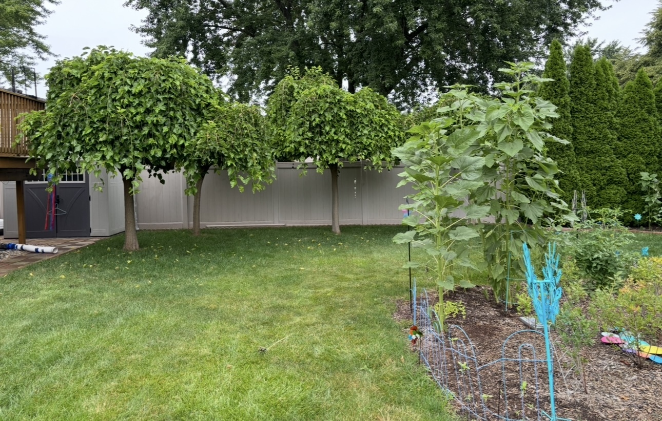 856 Quail Drive