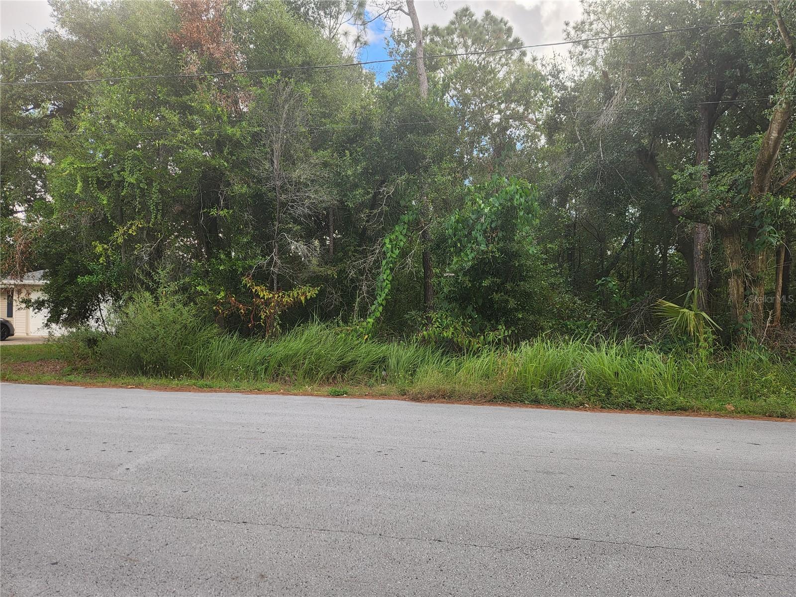 SILVER SPRING SHORES