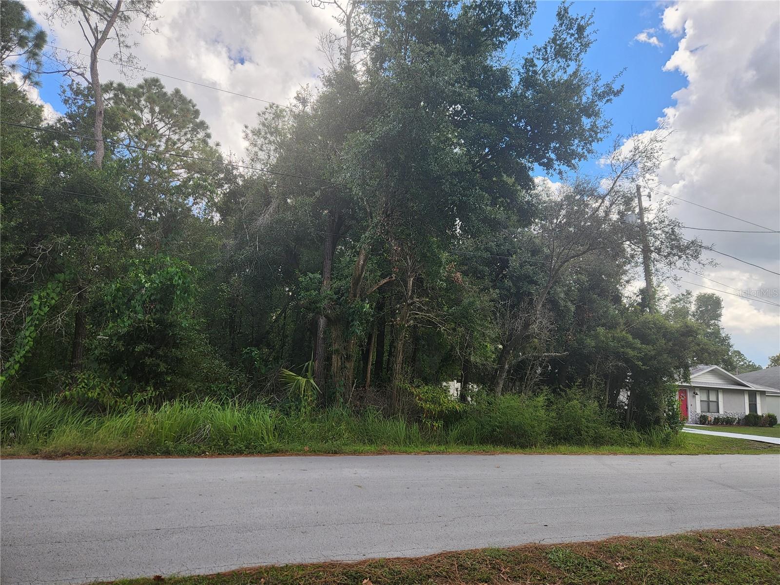 SILVER SPRING SHORES