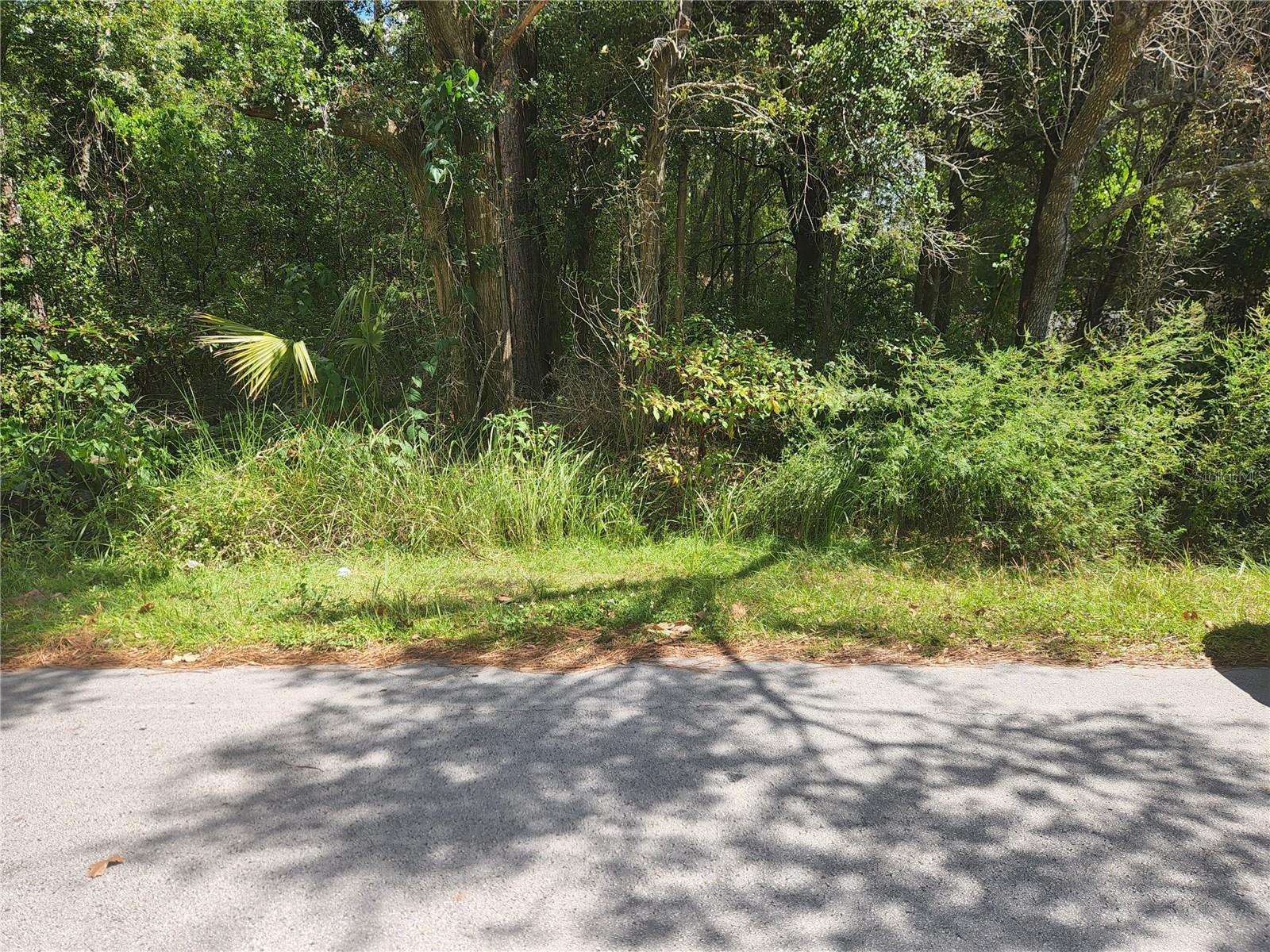 SILVER SPRING SHORES