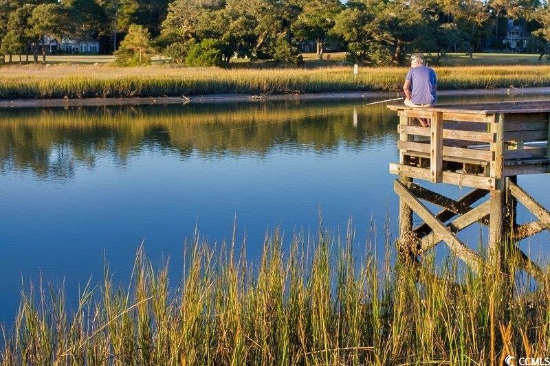 133 Charles Towne Ln.