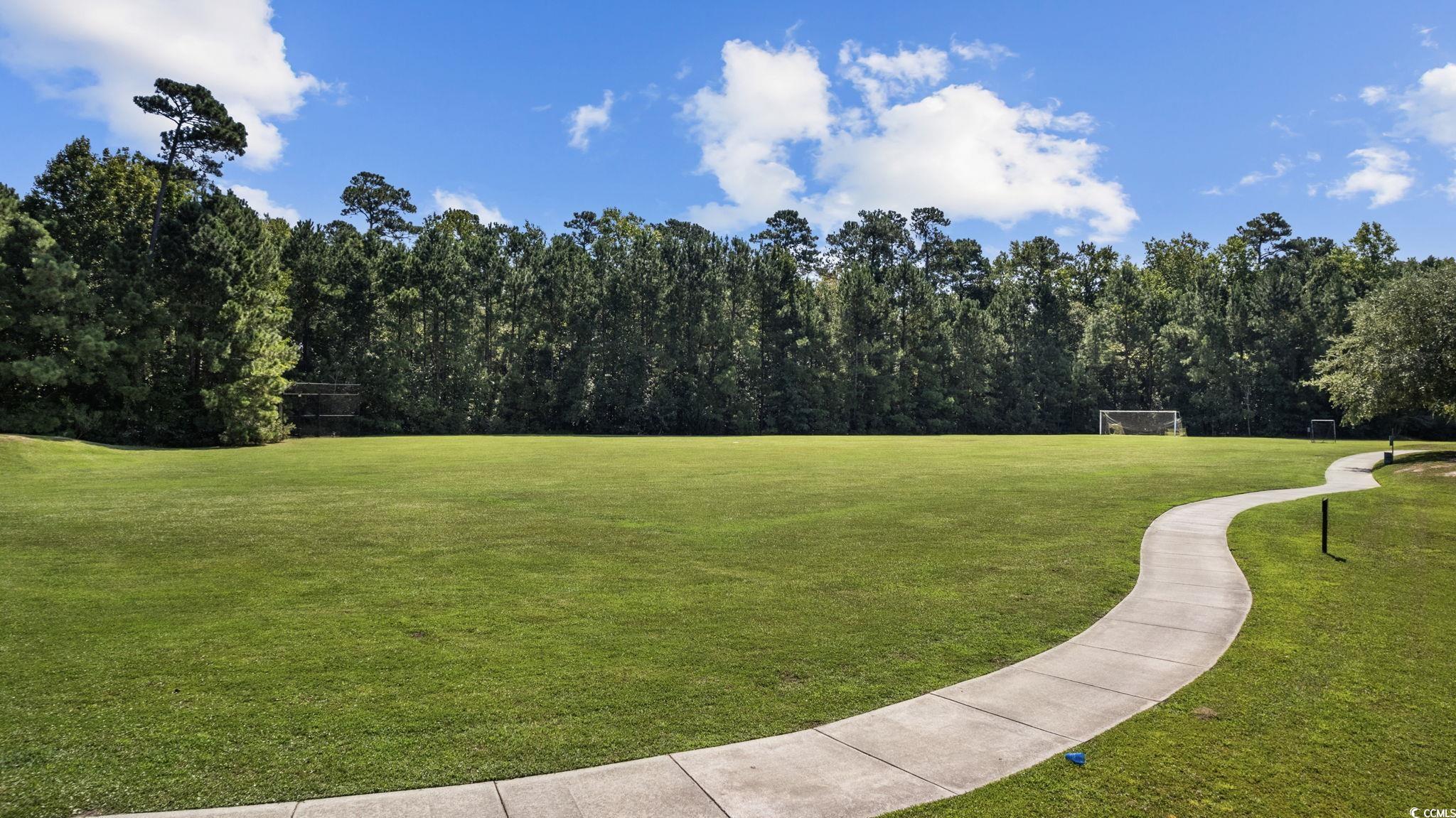 133 Charles Towne Ln.