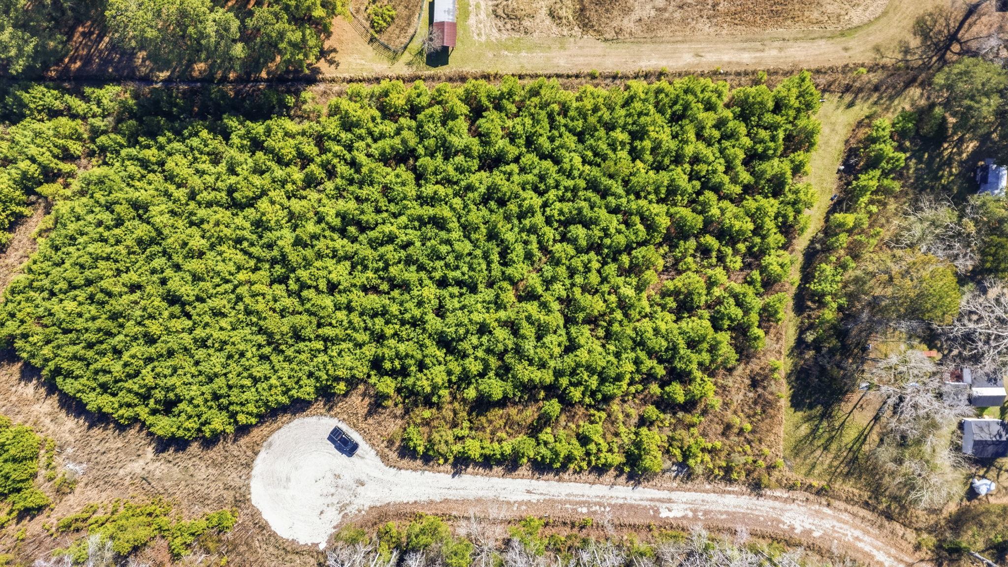 TBD LOT 3 Old Reaves Ferry Rd.