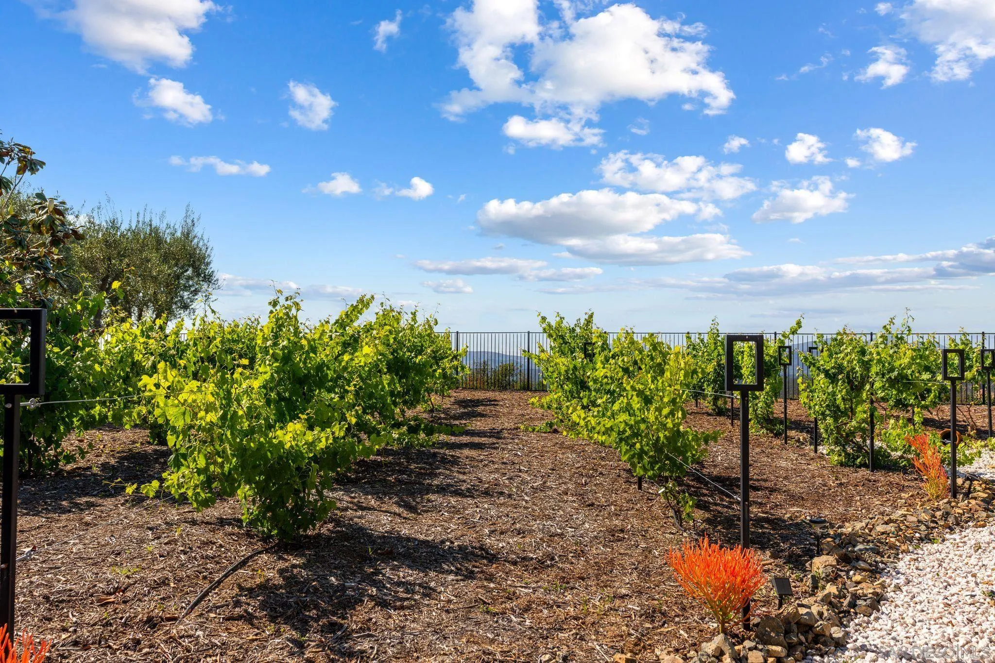 18264 Avenida Manantial