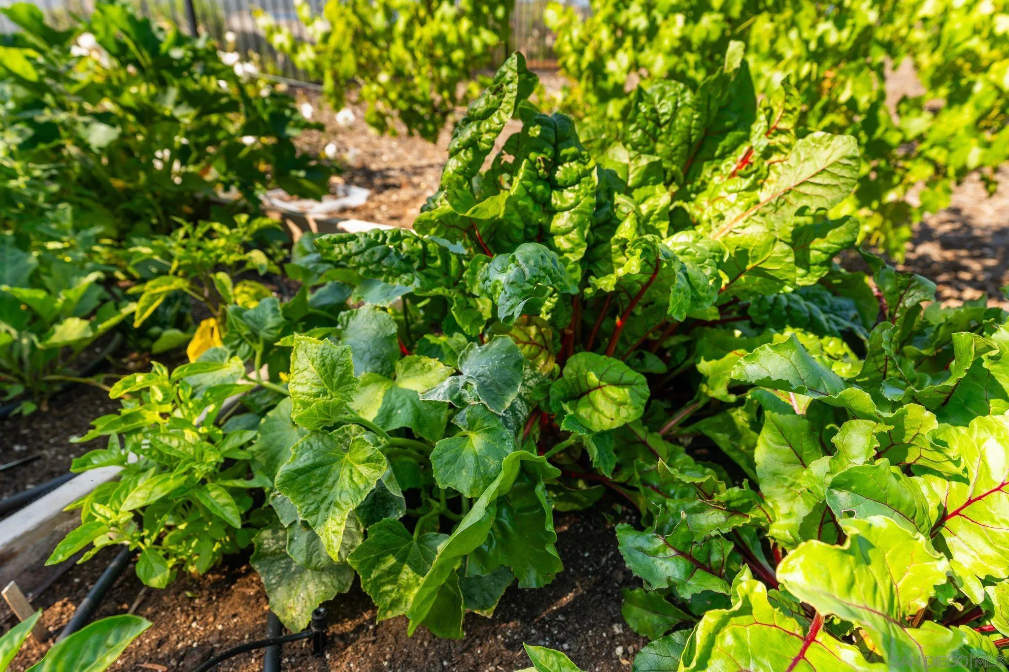 18264 Avenida Manantial