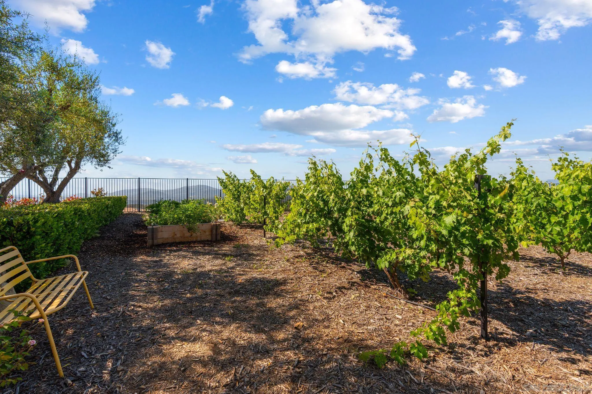 18264 Avenida Manantial