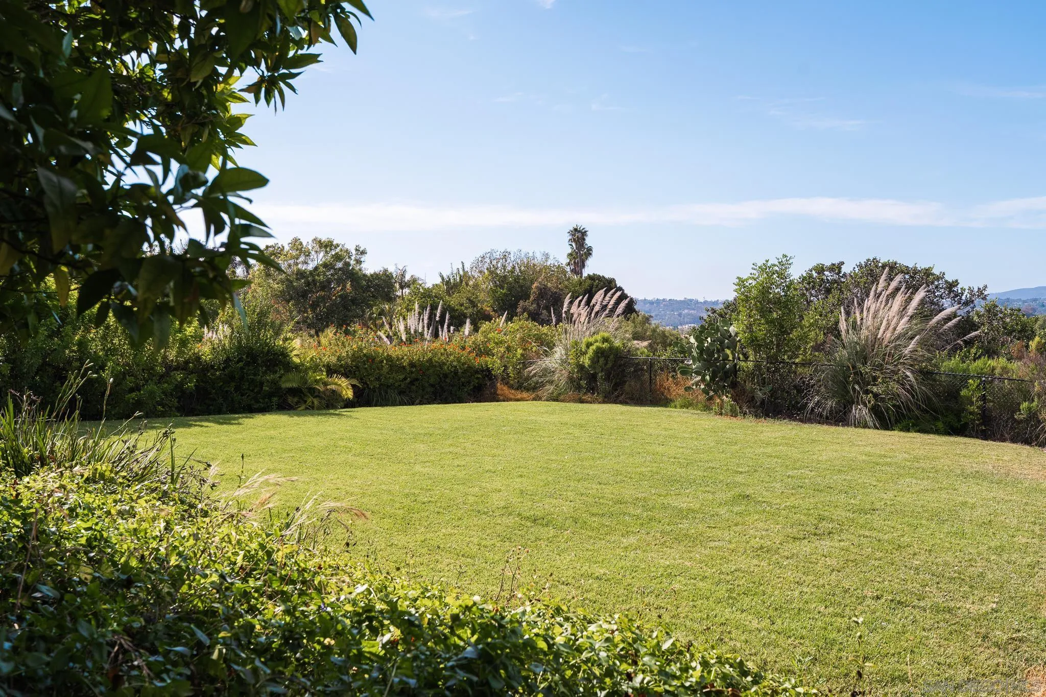 Landscaped backyard lawn bordered by ornamental grasses and shrubs, with distant hills beyond.