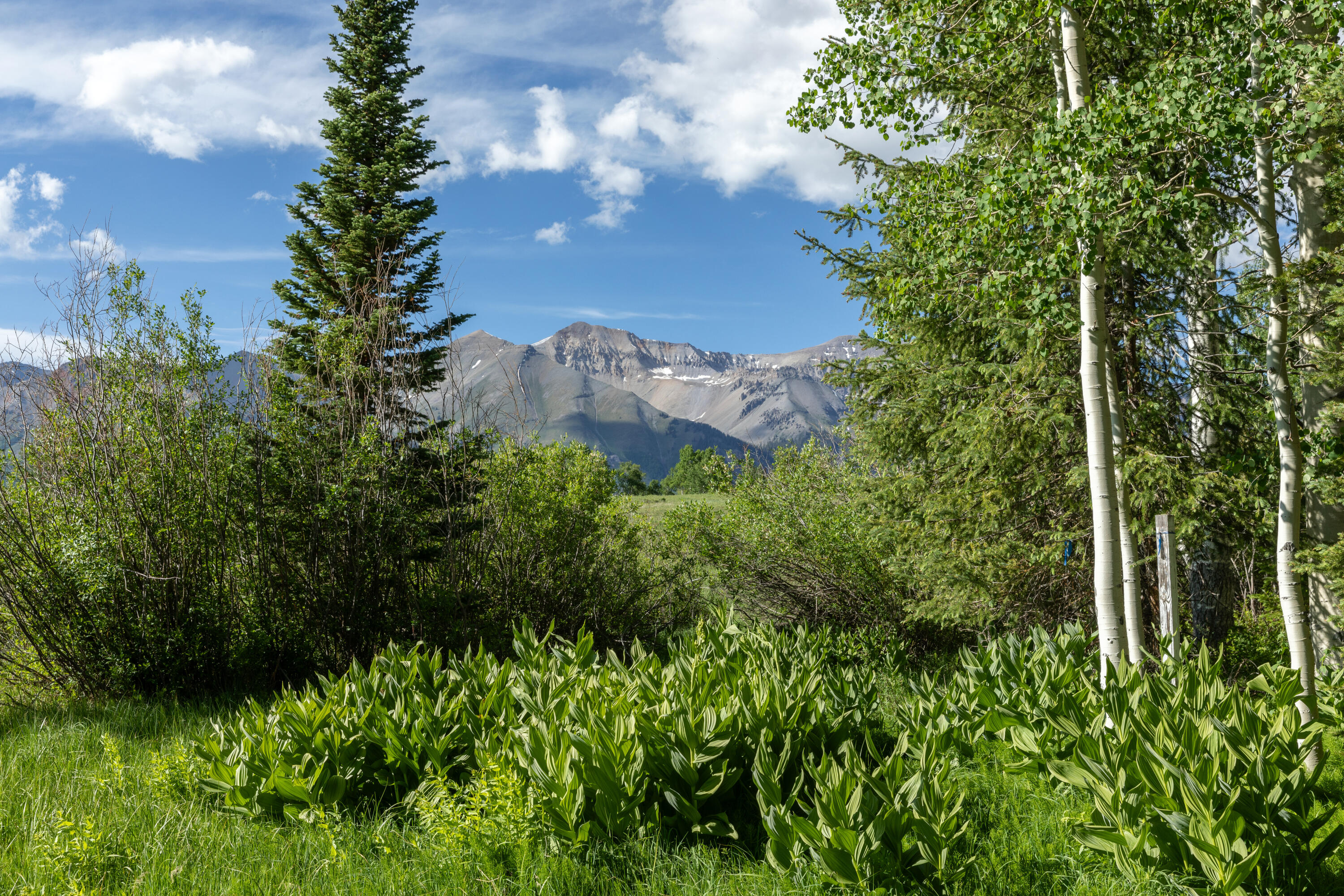 118 Snowfield Drive