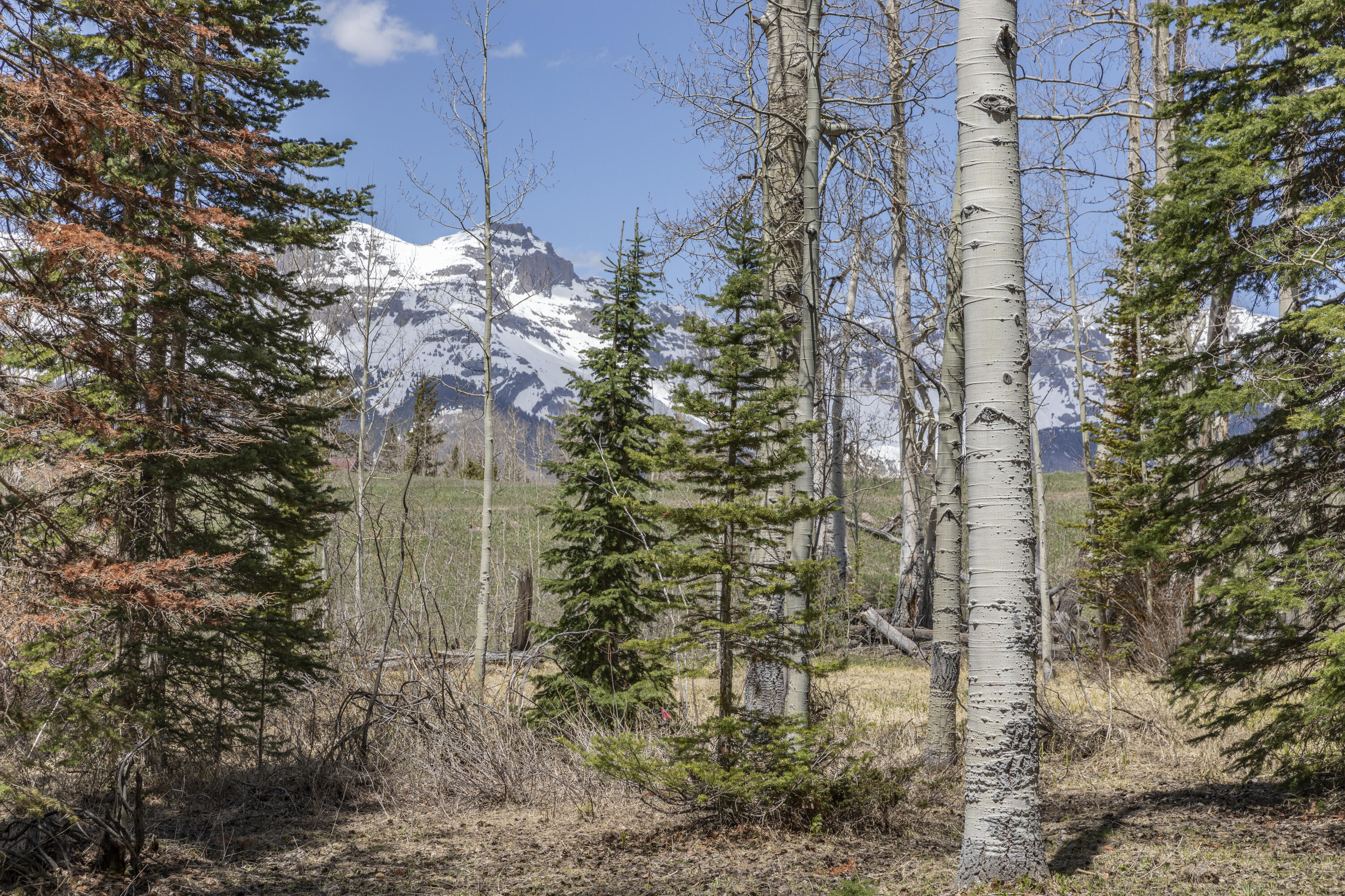 118 Snowfield Drive