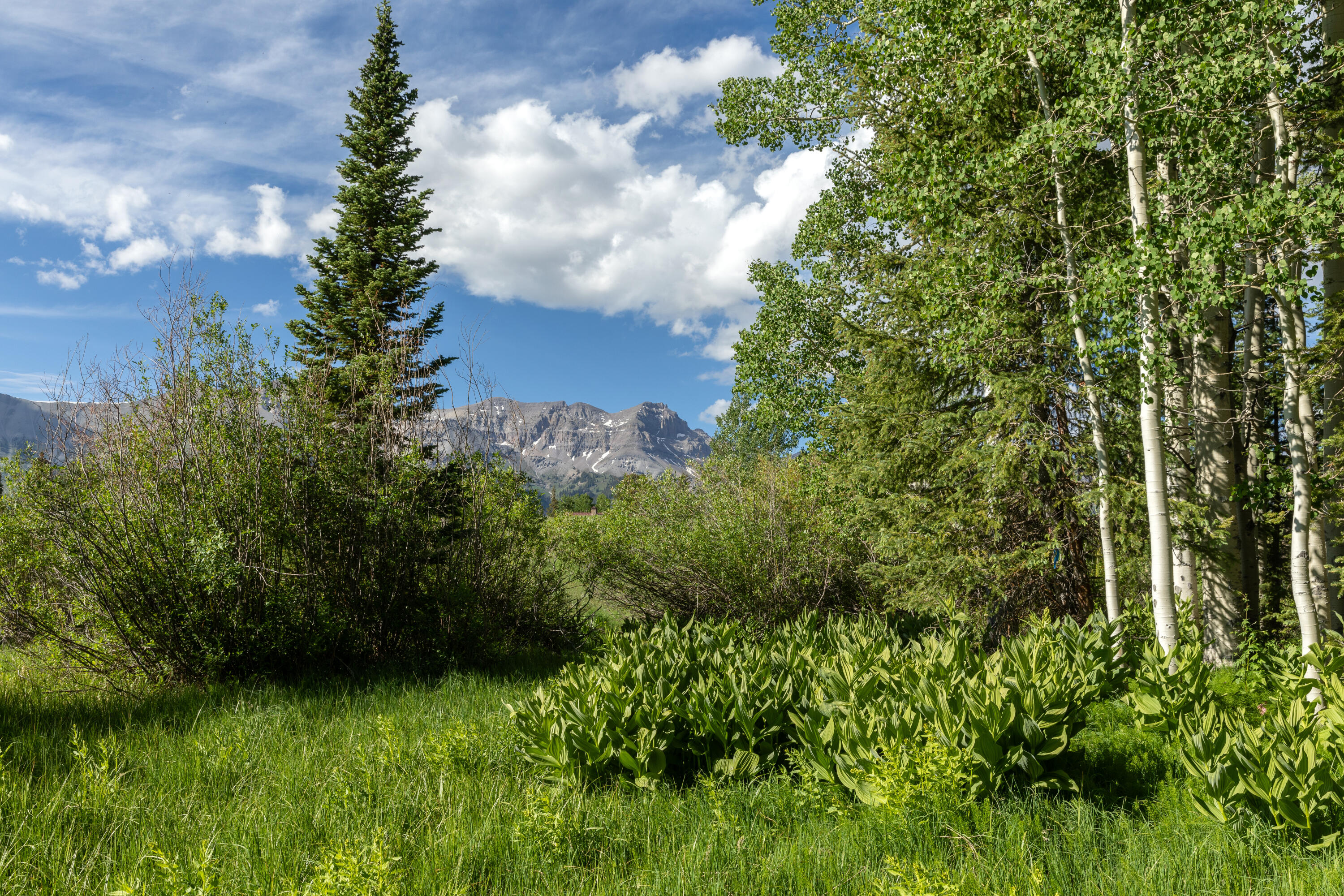 118 Snowfield Drive