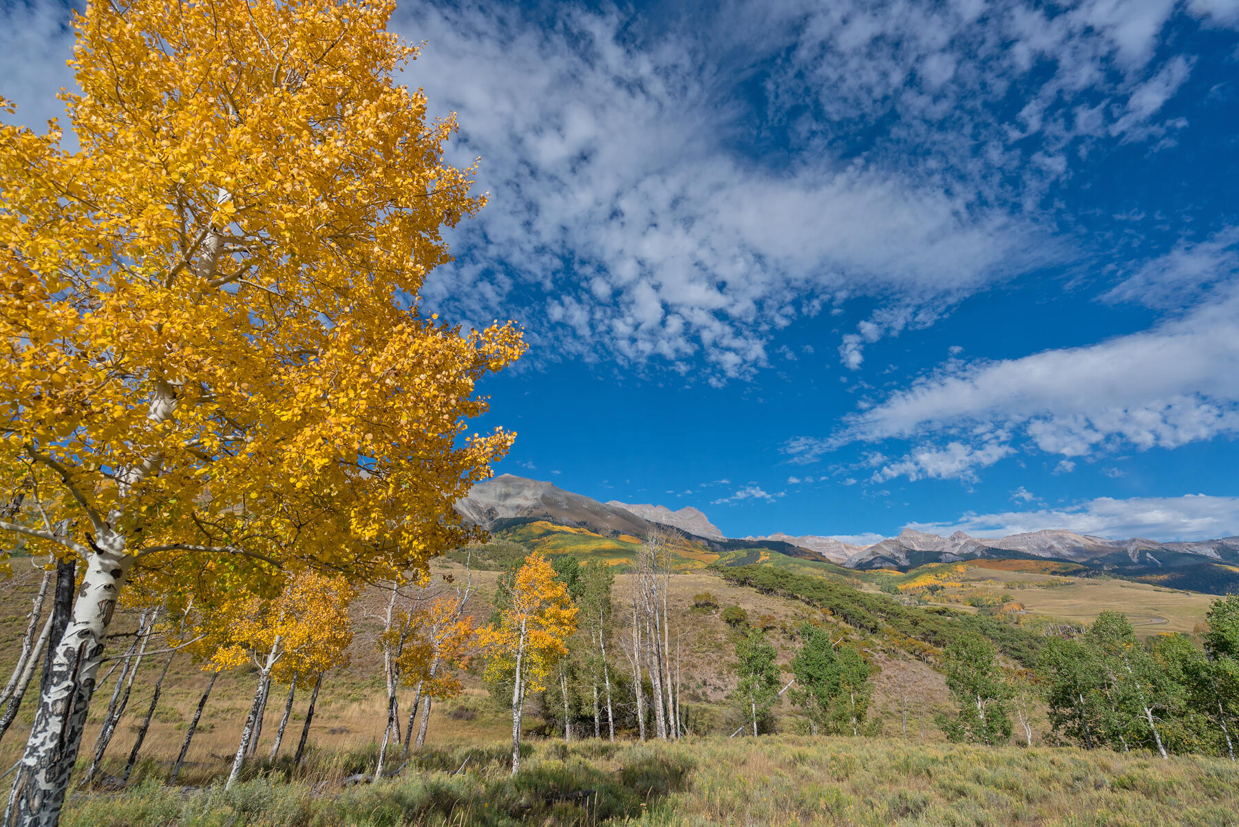 Aldasoro Ranch Lot 62