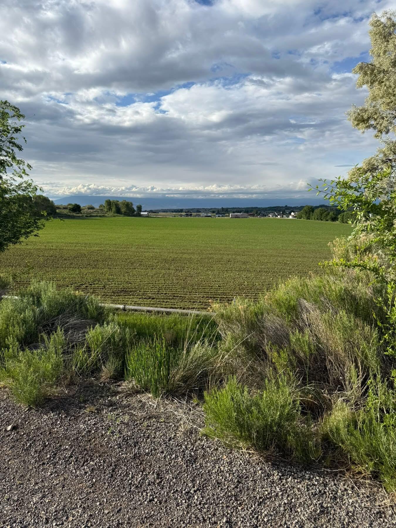 tbd Kiowa Road