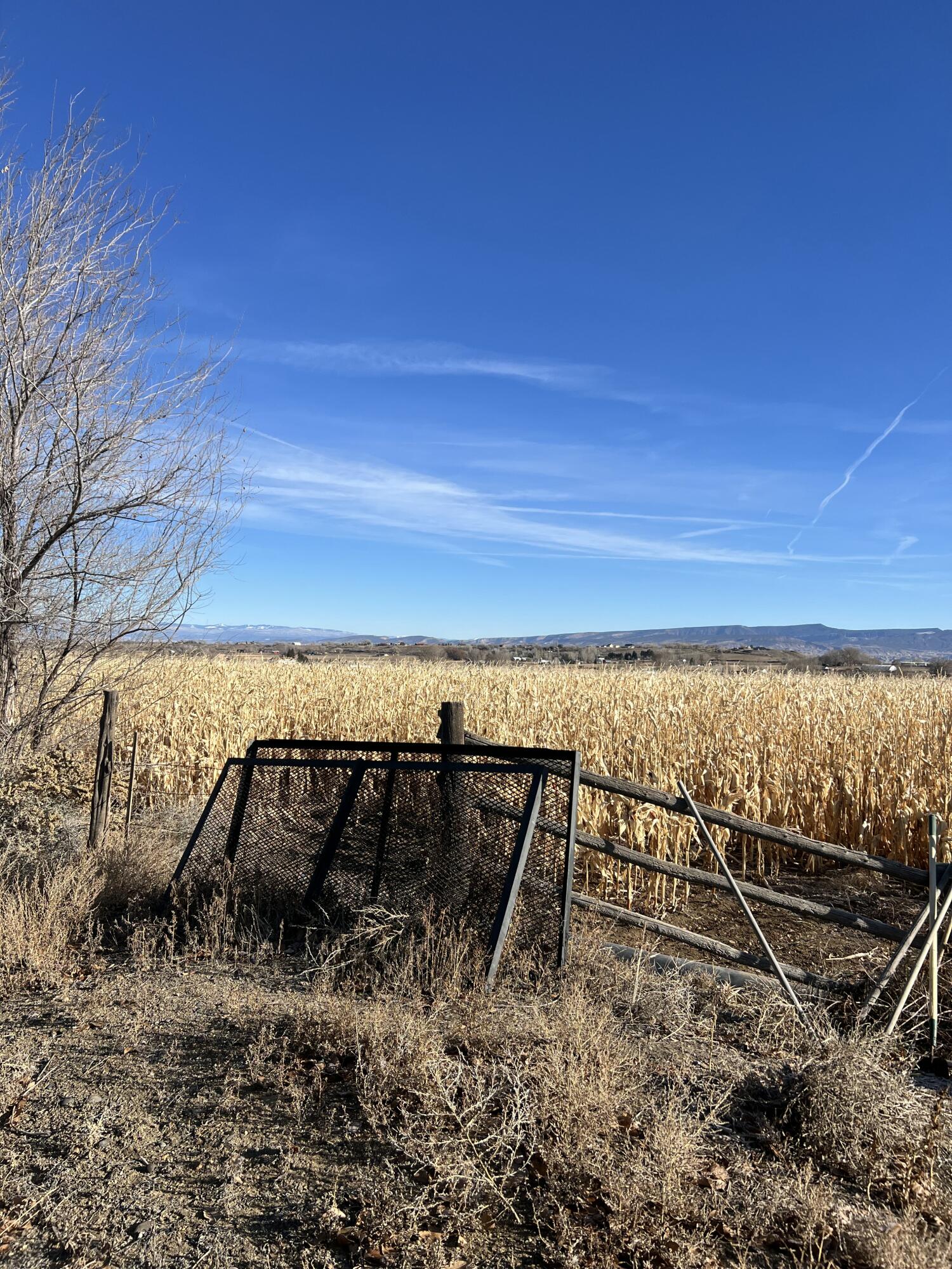 tbd Kiowa Road