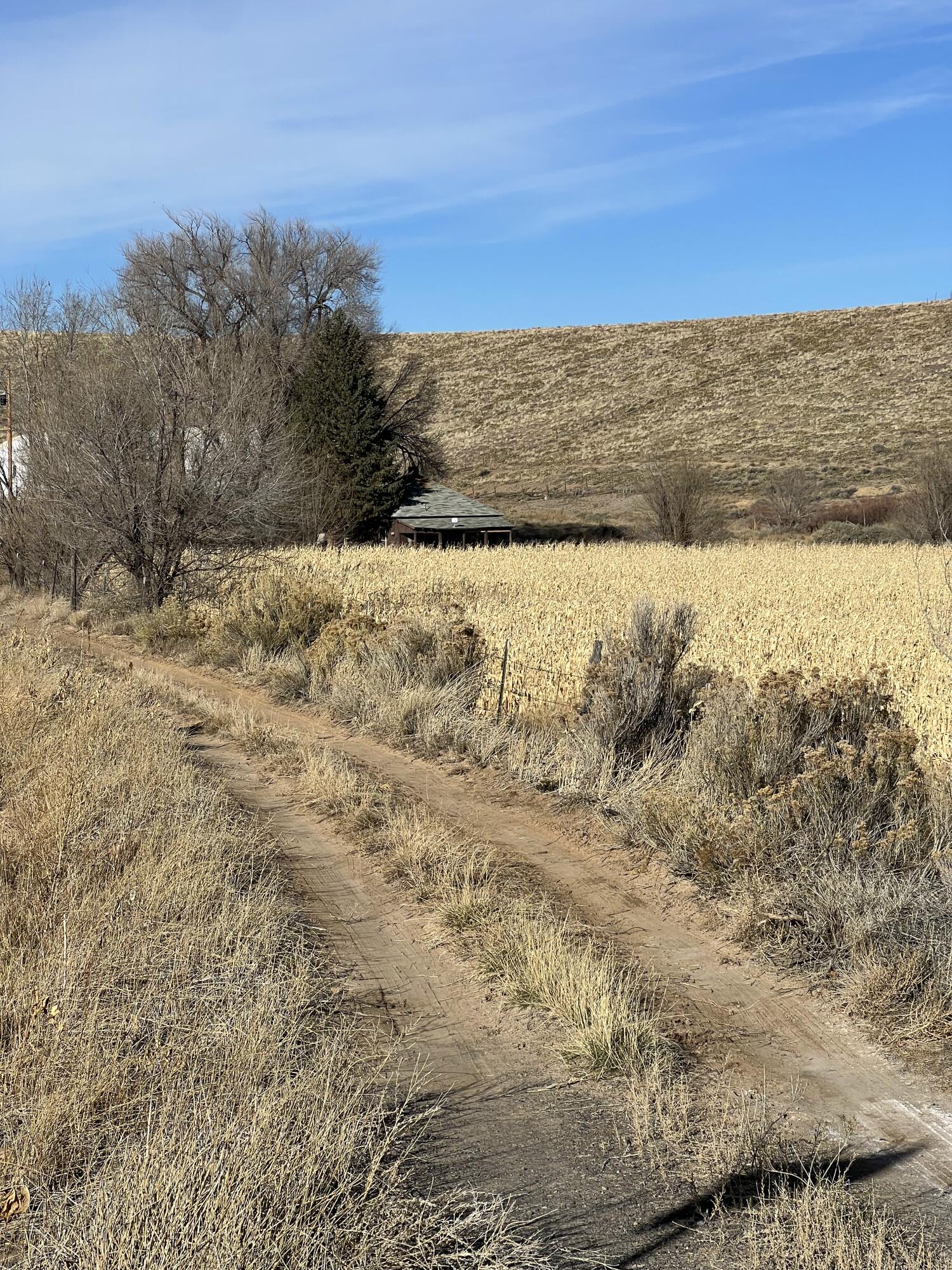 tbd Kiowa Road