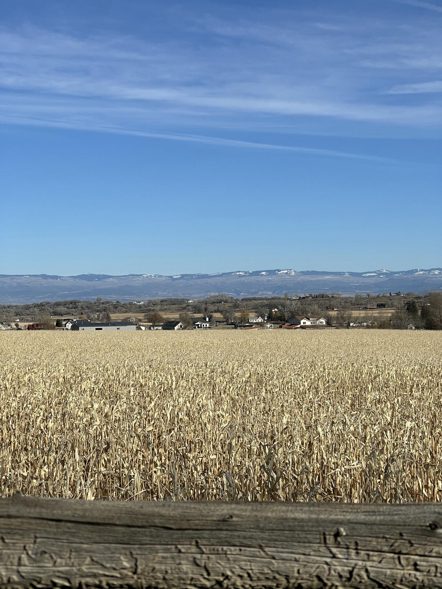tbd Kiowa Road