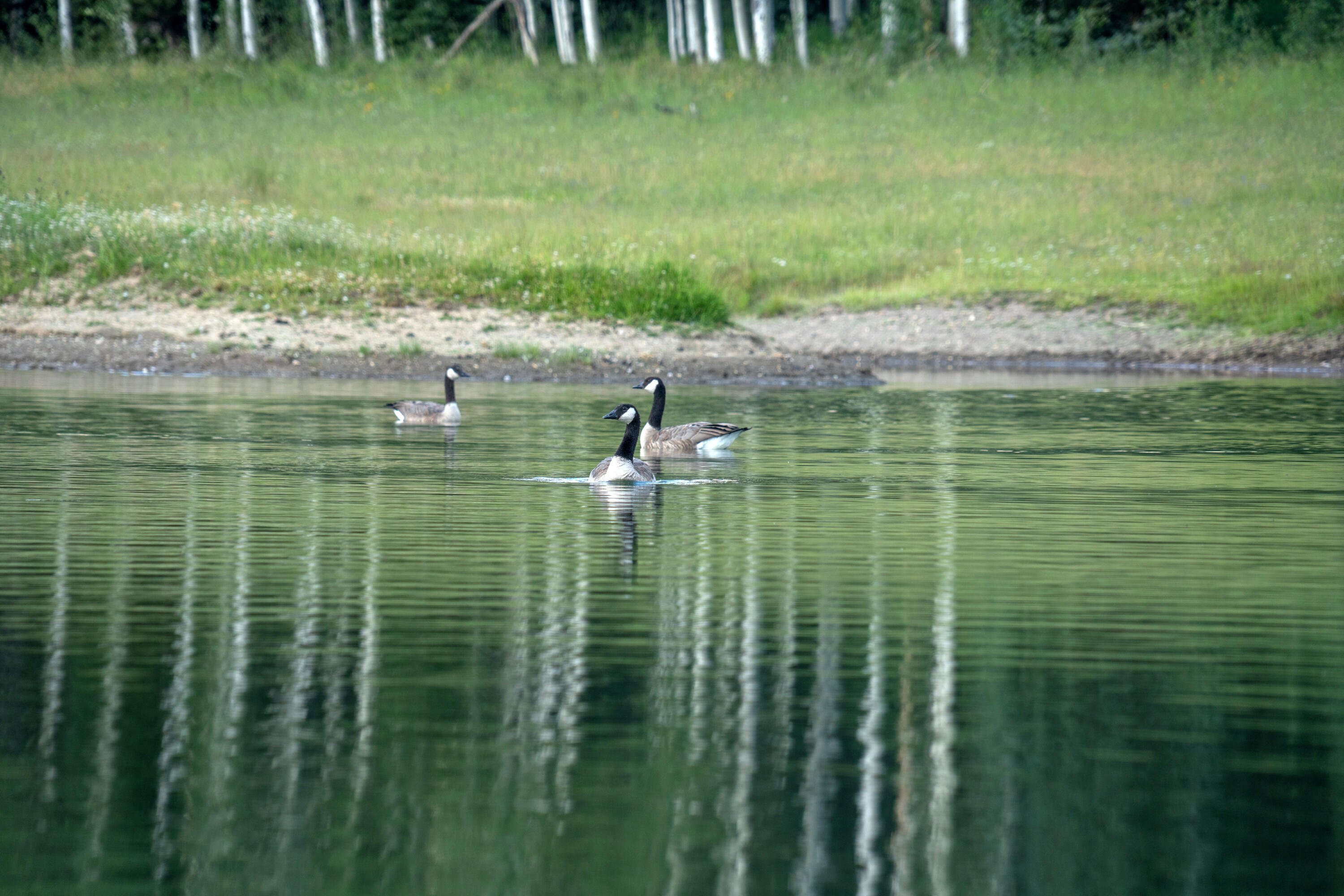tbd Sunshine Mesa Road